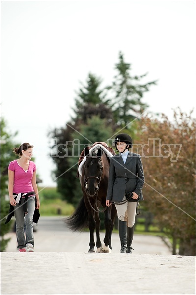 Hunter Jumper Show at Blue Star Farm