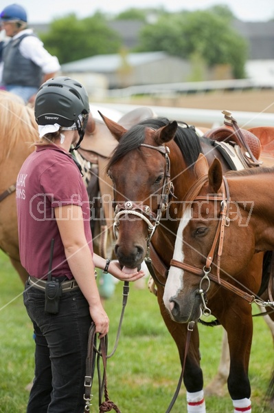 Quarter Horse Racing at Ajax Downs