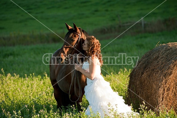 Woman in wedding dress with horse.