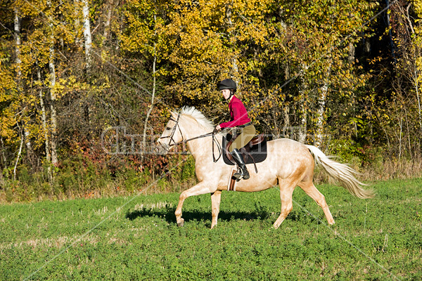 Young woman riding palomino horse