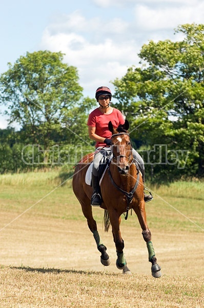 Woman horseback riding in field