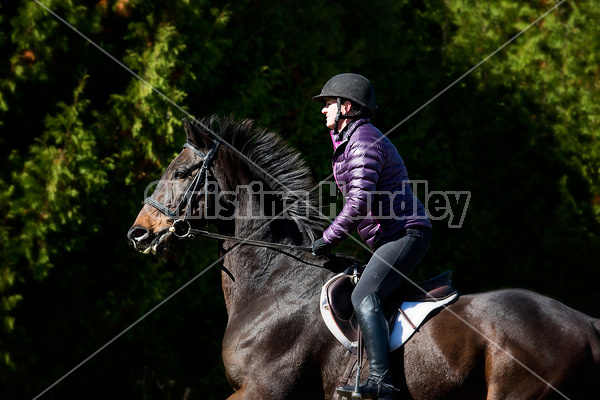 Woman riding Thoroughbred horse