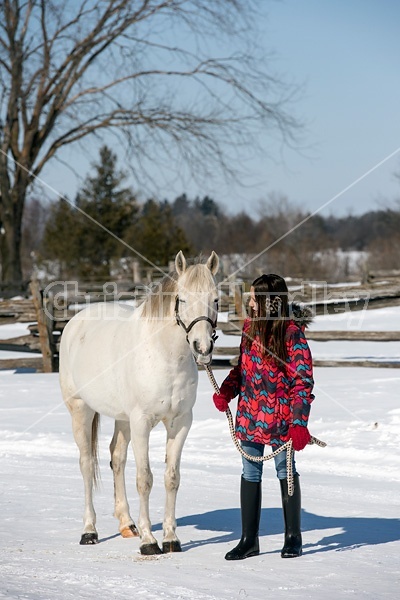 Young girl leading horse