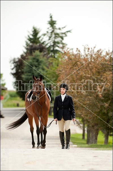 Hunter Jumper Show at Blue Star Farm