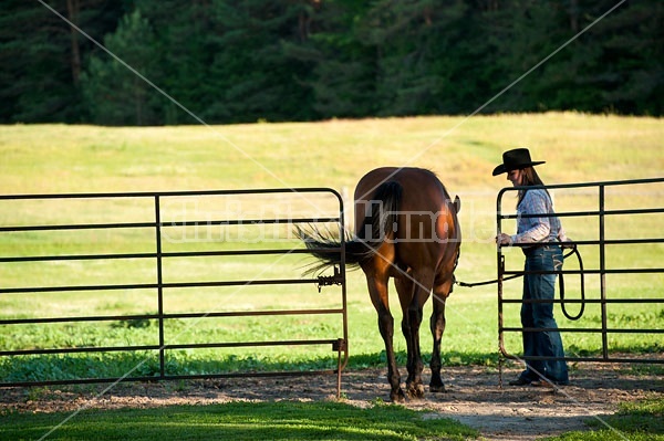 Young woman putting horse back in paddock