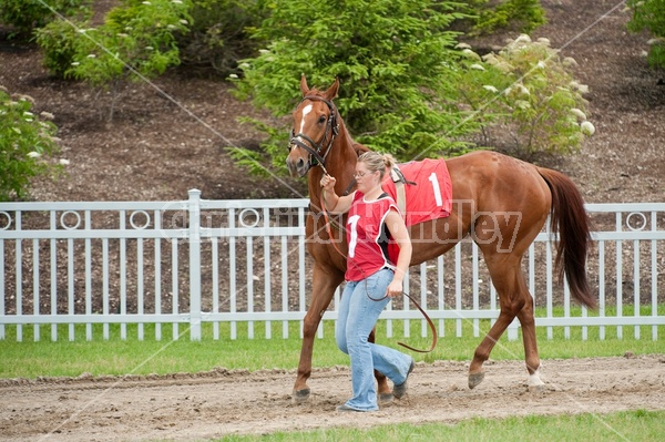 Quarter Horse Racing at Ajax Downs