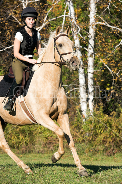 Young woman riding palomino horse