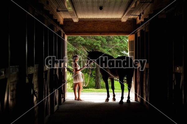 Young woman with her dark bay horse