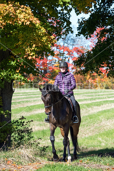 Woman horseback riding in field in the autumn of the year with colored leaves in the background