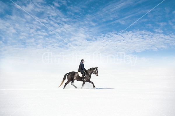 Woman riding Hanoverian mare in deep snow