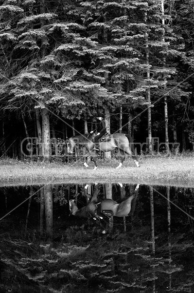 Young woman trail riding next to pond