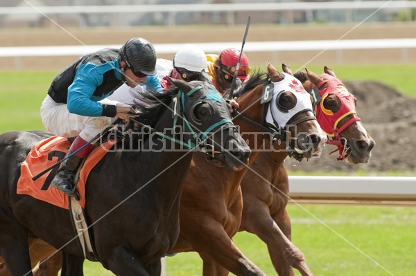 Quarter Horse Racing at Ajax Downs