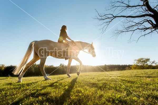 Woman riding a palomino horse