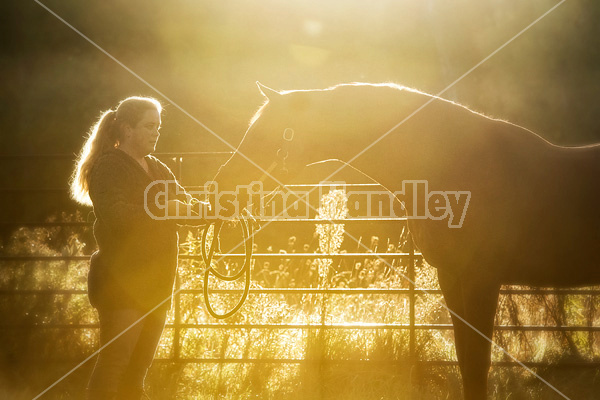 Portrait of a womand and her horse