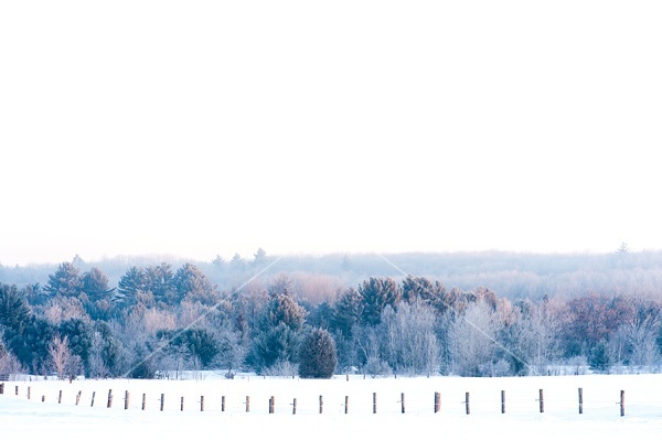 Farm field scene on a cold frosty winter morning