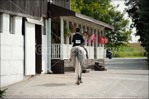 Hunter Jumper Show at Blue Star Farm