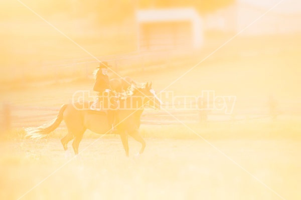 Young woman riding an American Paint Horse mare in the golden glow of the late evening light