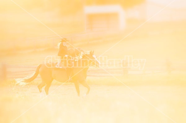 Young woman riding an American Paint Horse mare in the golden glow of the late evening light