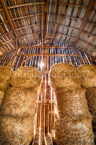 Inside the hayloft of an old barn filled with round bales of straw. The sun is streaming through the cracks of the barn boards.