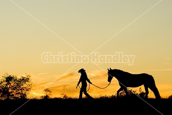 Woman with horse silhouetted against evening sky