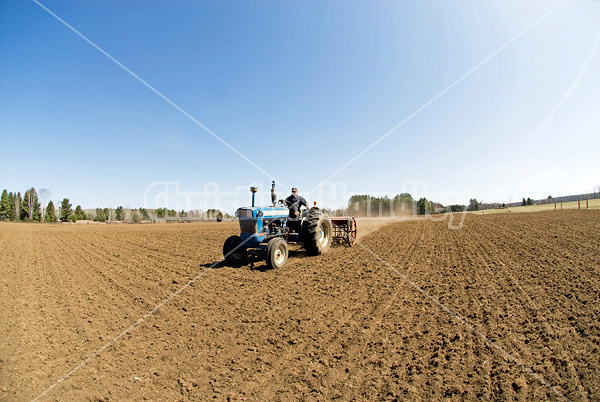 Farmer driving tractor pulling seed drill seeding oats