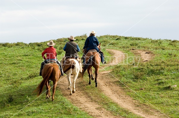 Three western riders following trail over hilltop.