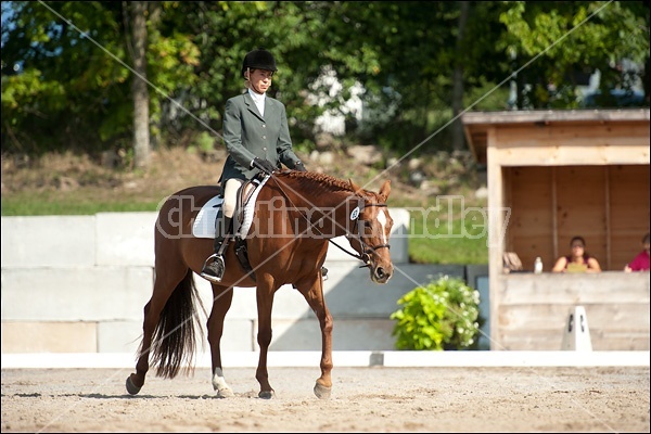 Lanes End Horse Trials