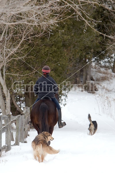 Woman horseback riding in the winter