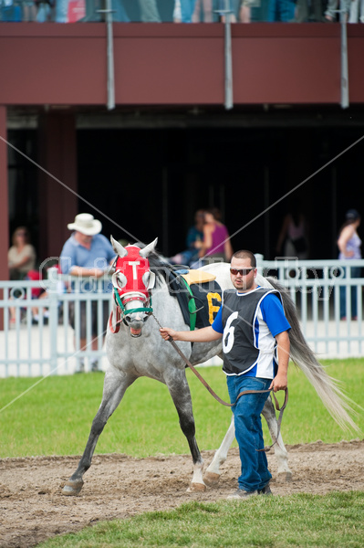 Quarter Horse Racing at Ajax Downs