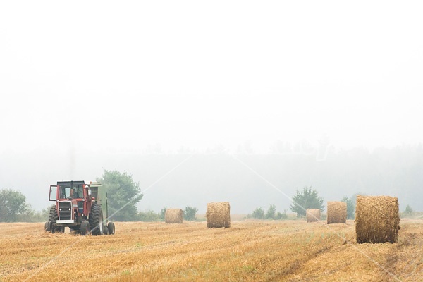 Farmer baling round bales of straw