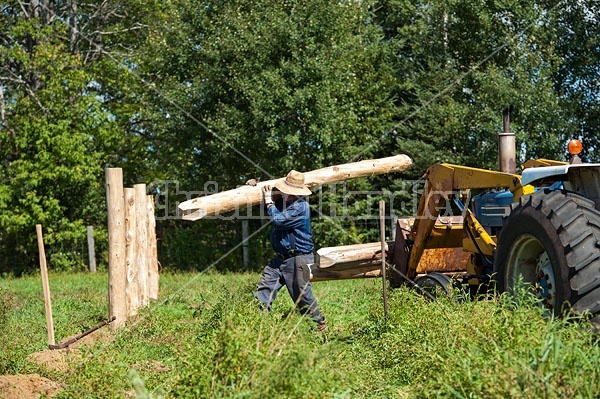 Farmer building new fence