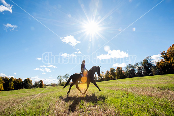 Woman horseback riding through field in the autumn time