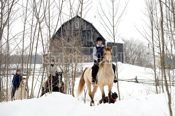 Horseback riding in the snow in Ontario Canada