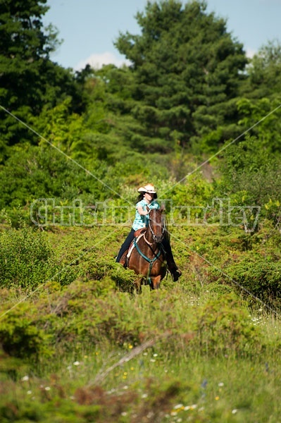 Woman trail riding on Standardbred mare