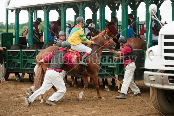 Quarter Horse Racing at Ajax Downs