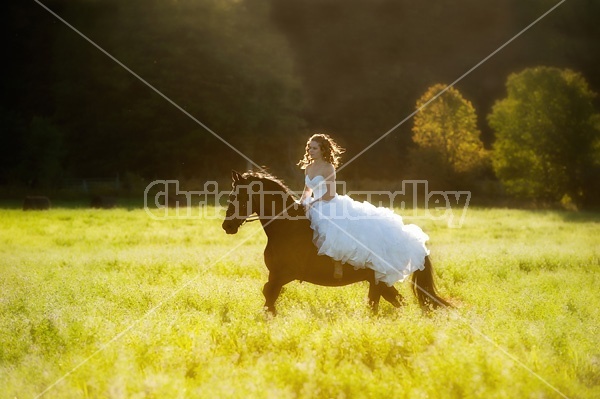 Woman riding horse wearing a wedding dress