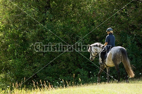 Woman riding gray horse in field