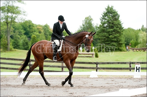 Lanes End Horse Trials