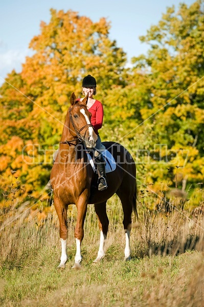 Young woman horseback riding in the fall of the year.