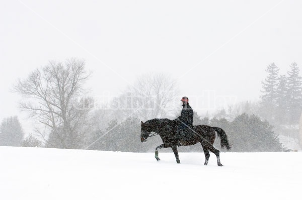 Woman horseback riding in the winter