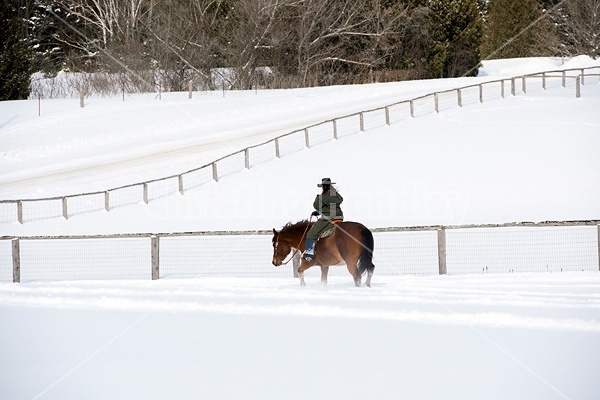 Portrait of a woman horseback riding in the snow