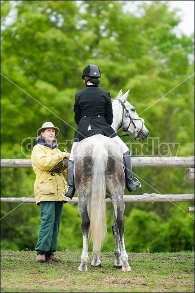 Horse Trials