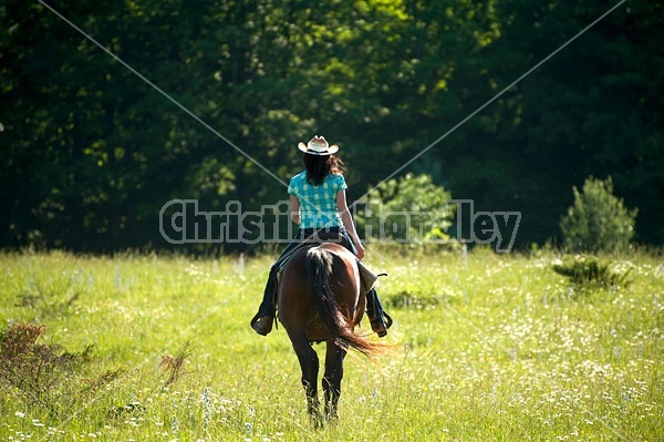 Woman trail riding on Standardbred mare