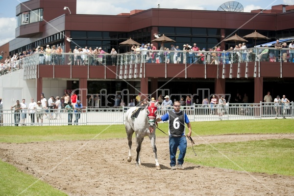 Quarter Horse Racing at Ajax Downs