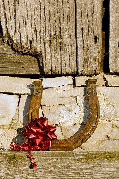 Horseshoe Christmas decoration