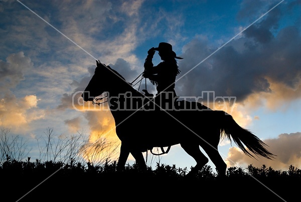 Silhouette of a cowgirl riding western.