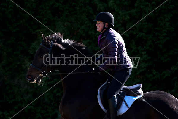 Woman riding Thoroughbred horse in dramatic light