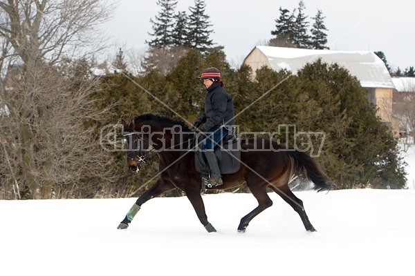 Woman horseback riding in the winter