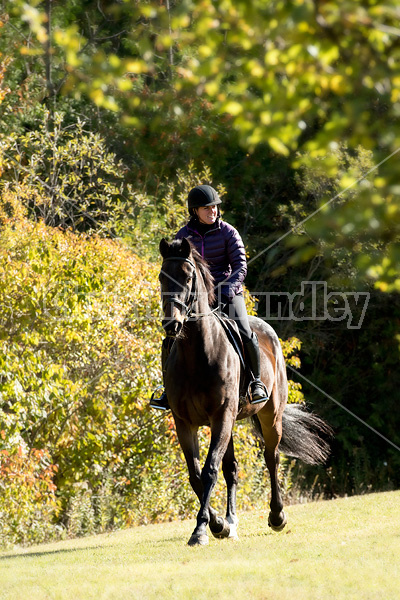 Woman riding Thoroughbred horse