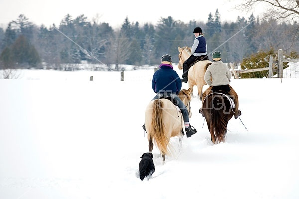 Horseback riding in the snow in Ontario Canada